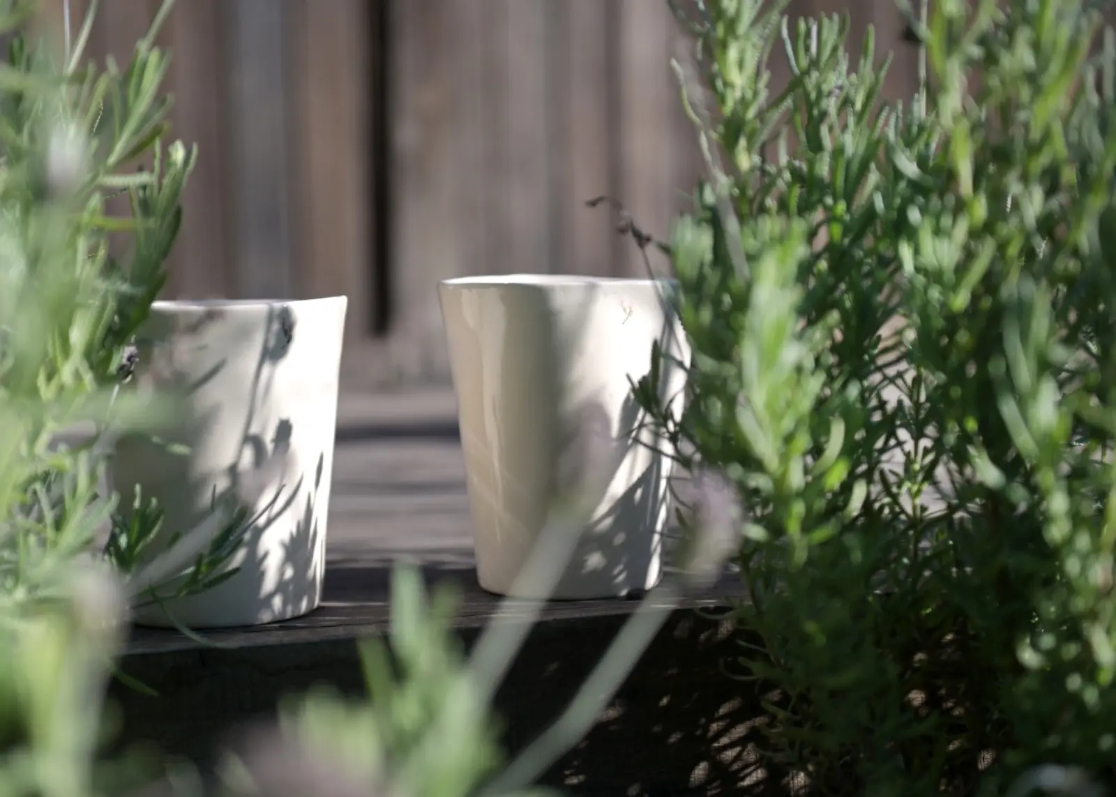 Dos vasos de cerámica blancos entre plantas de lavanda